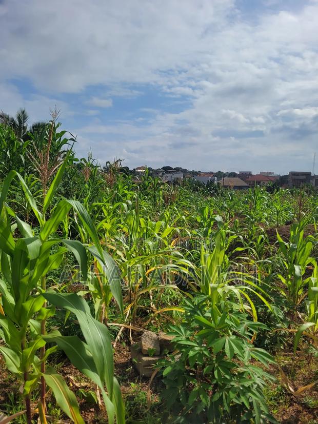 Two Plots of Land for Sale at Ahodwo Nhyiaeso Main Road · Photo 3