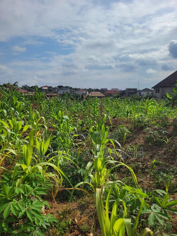 Two Plots of Land for Sale at Ahodwo Nhyiaeso Main Road · Photo 8