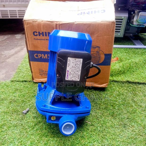 1.0hp CHIMP Professional Water Pump CPM158 Stainless Steel · Photo 1
