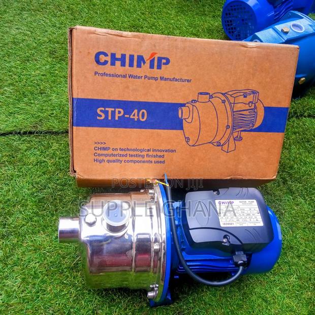Chimp on Technological Innovation Computerized Stp_40 0.5ho · Photo 1