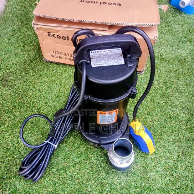 Submersible Pumps 1.0hp Ecoolmax QDX_0.75 Water Pump Proper · Photo 1