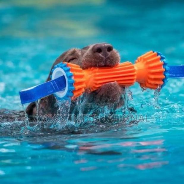 Chuckit! Rugged Bumper Dog Toy · Photo 2