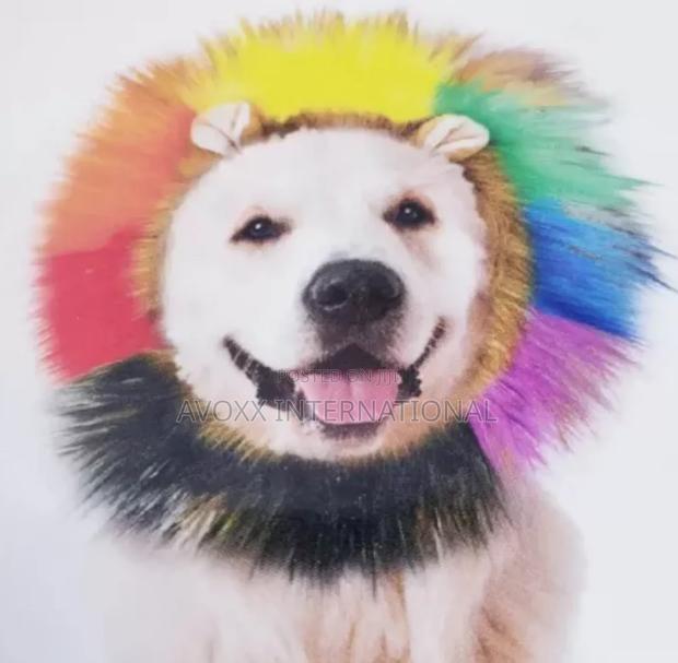 Takepride Lion Rainbow Headwear for Cat Dog Costume Large/Xl · Photo 1