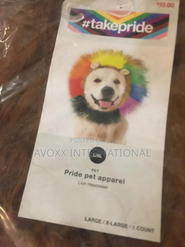Takepride Lion Rainbow Headwear for Cat Dog Costume Large/Xl · Photo 3