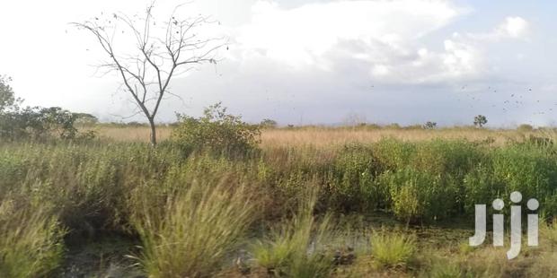 10.000 Acres of Land for Lease
