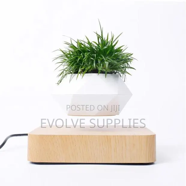 Floating Flower Pot · Photo 1