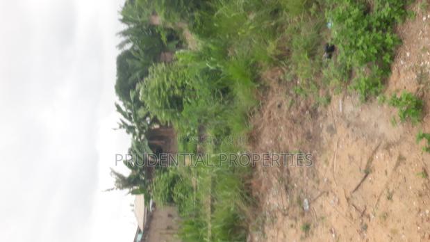 2 Plots of Land for Sale at Manhean Tigo Pole · Photo 1