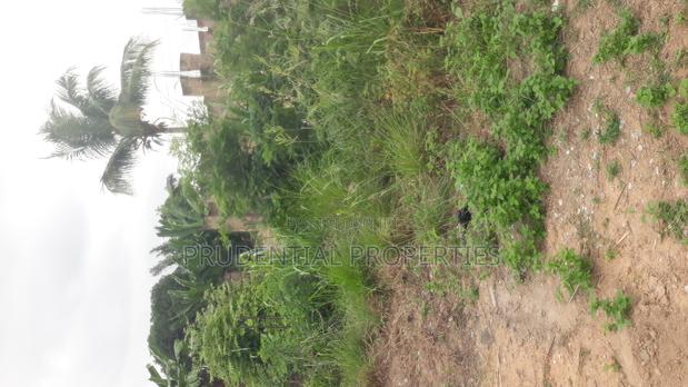 2 Plots of Land for Sale at Manhean Tigo Pole · Photo 2