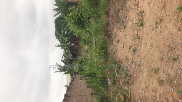 2 Plots of Land for Sale at Manhean Tigo Pole · Photo 5