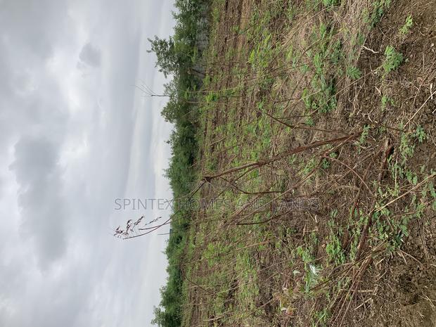 Plot for at Jubile Gate In, Size 70/100 · Photo 2