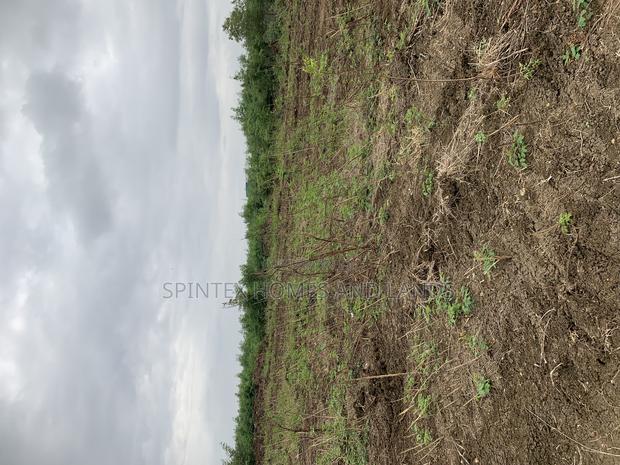 Plot for at Jubile Gate In, Size 70/100 · Photo 1