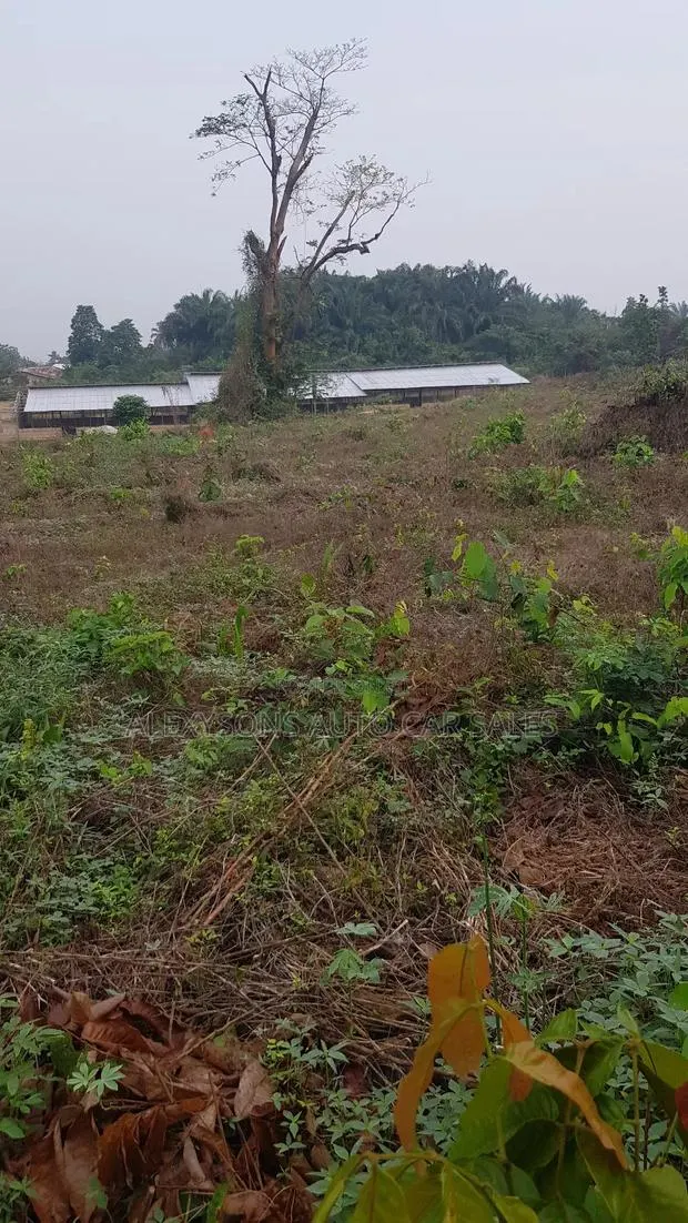 2 Acres of Land, Poultry Farm Land With Bed Room, Ofices, Water, Light · Photo 5