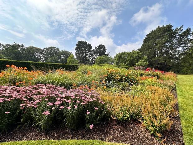 Gardening and Landscaping Service Available · Photo 7