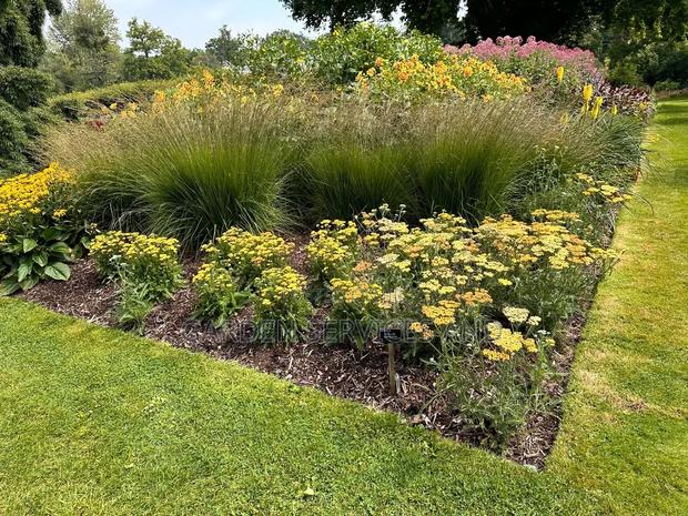 Gardening and Landscaping Service Available · Photo 8