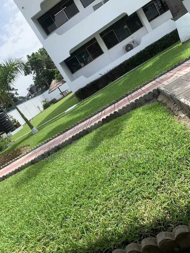 Gardening and Landscaping Service Available · Photo 6