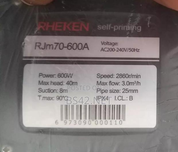 Hot and Cold Water Self-Priming Pump · Photo 2