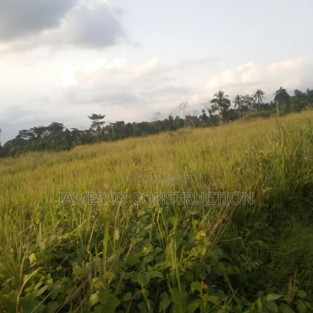 Farmland for Sale · Photo 1
