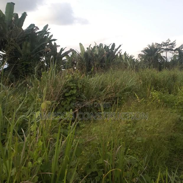 Farmland for Sale · Photo 2
