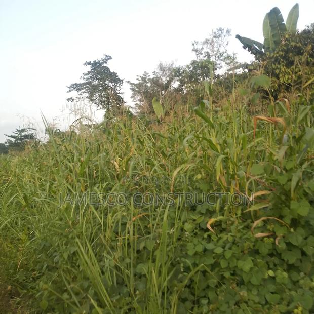 Farmland for Sale · Photo 3