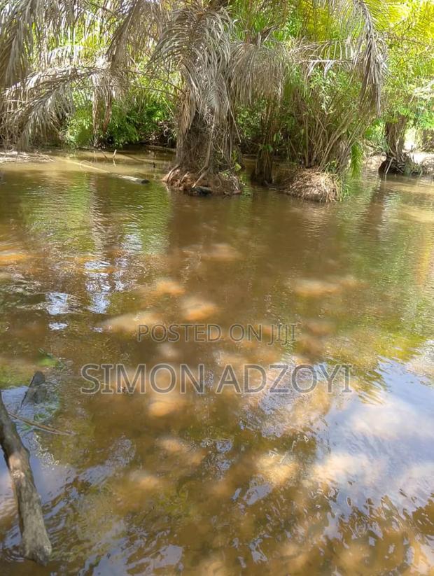 5000 Acres of Farm Land for Long Term Lease · Photo 1