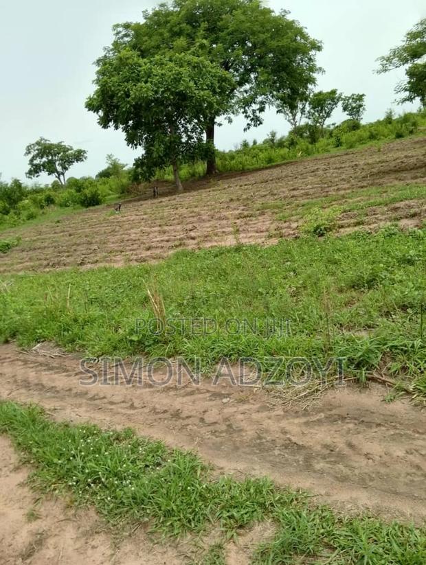 5000 Acres of Farm Land for Long Term Lease · Photo 2
