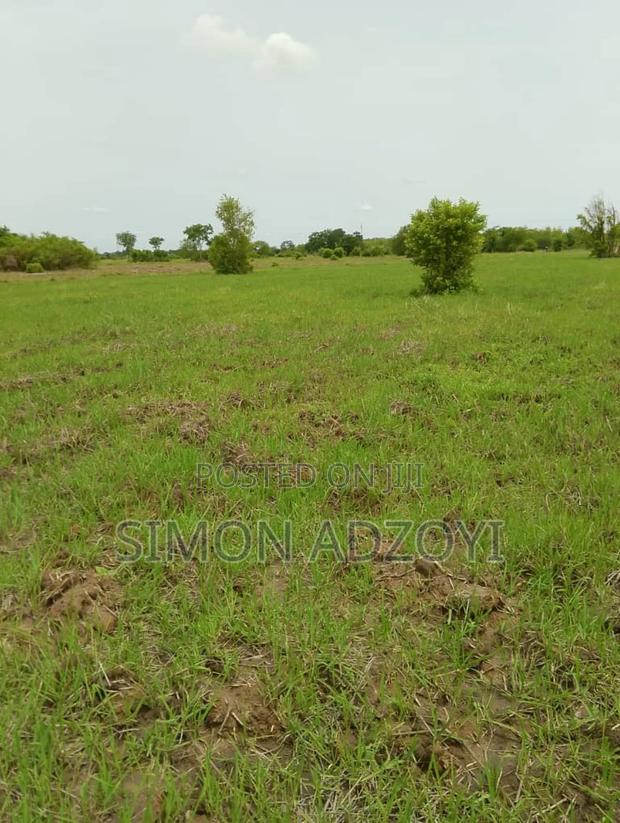 5000 Acres of Farm Land for Long Term Lease · Photo 3