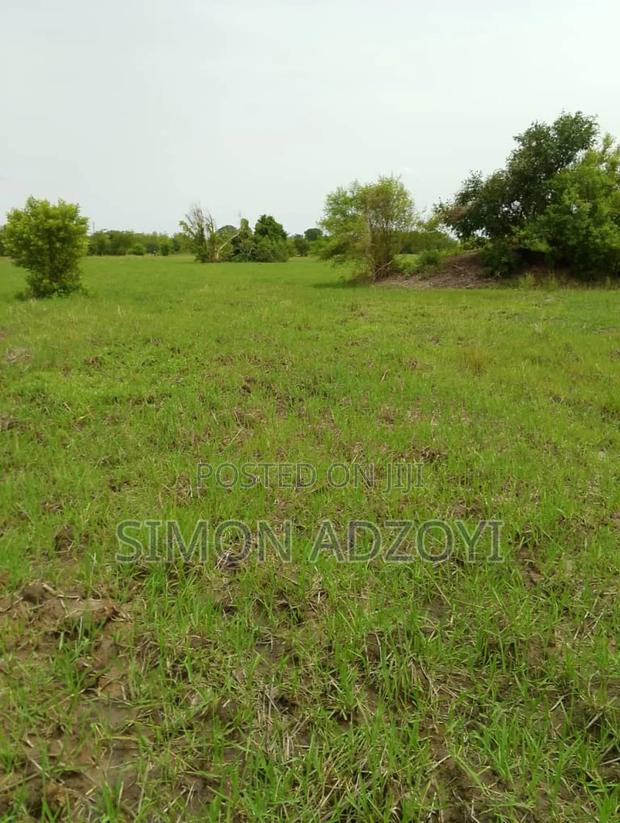5000 Acres of Farm Land for Long Term Lease · Photo 4