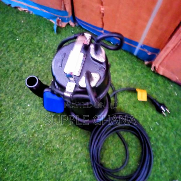 Stainless Steel Submersible Sewage Pumps LEO Original Better · Photo 1