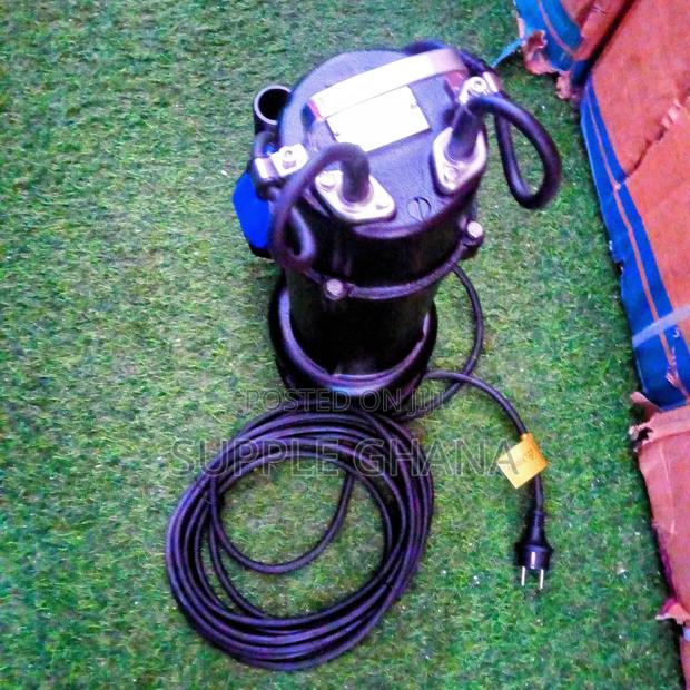 Water Pump LEO Submersible Sewage Pumps Quality Supply Best · Photo 1