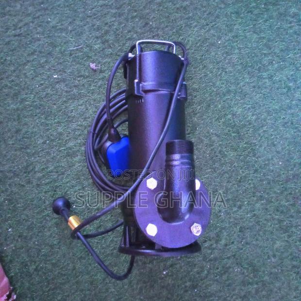 220v/50hz LEO Submersible Sewage Pumps Stainless Steel Fast · Photo 1