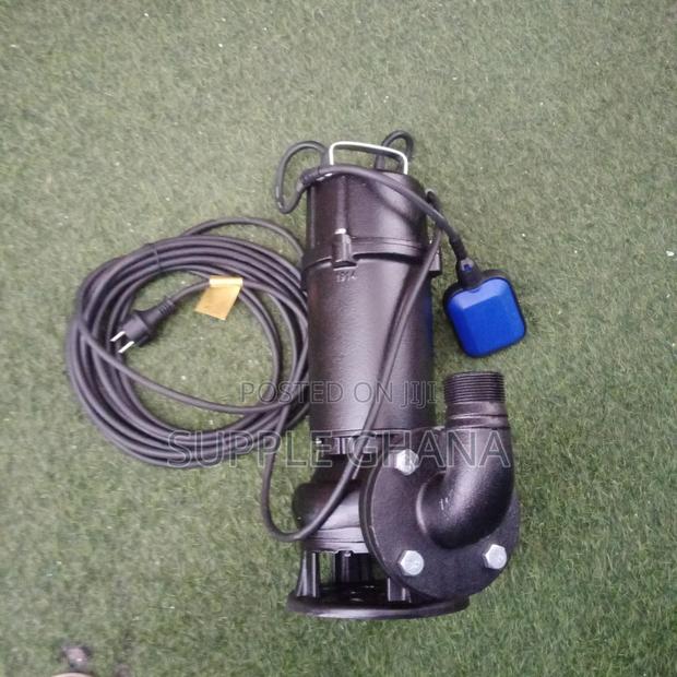 LEO 220v/50hz Submersible Sewage Pumps Quality Supply Better · Photo 1