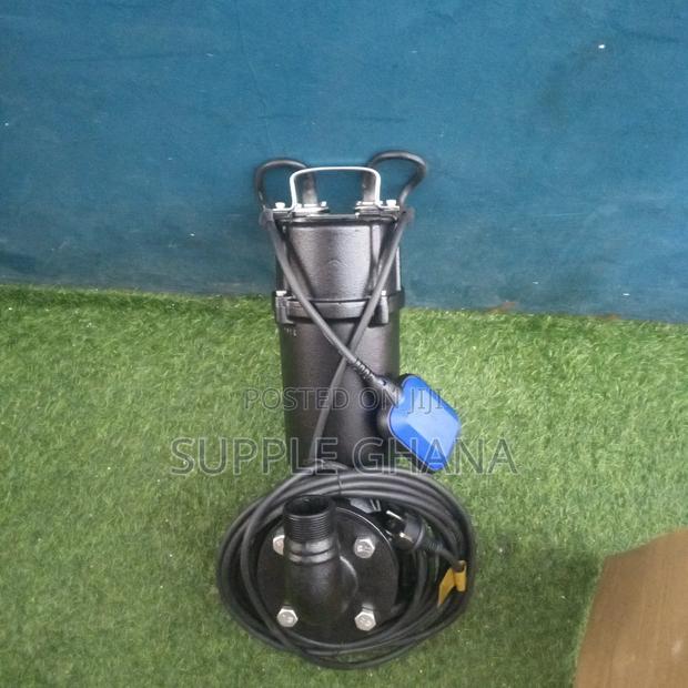 50WQD8 _16_1.1F LEO Submersible Sewage Pumps 7.2hp Original · Photo 1