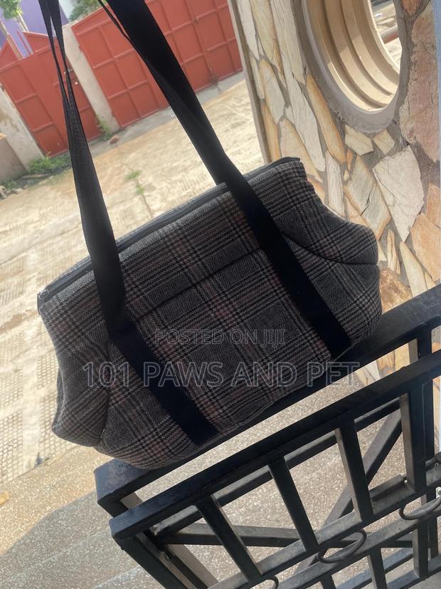 Cute Pet Bag · Photo 3