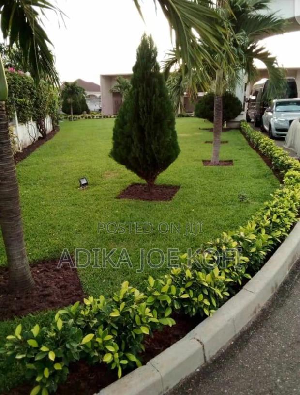 Joefel Landscaping and Gardening Decor · Photo 2