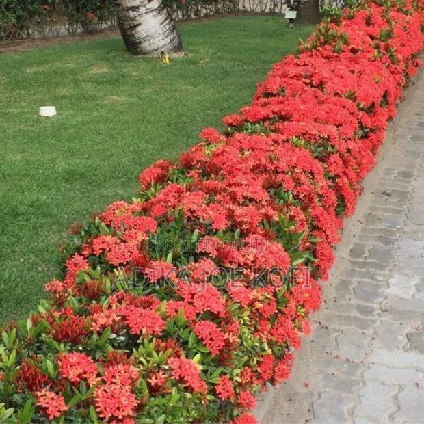Joefel Landscaping and Gardening Decor · Photo 4