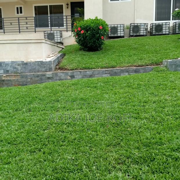 Joefel Construction and Landscaping With Gardening Work · Photo 2