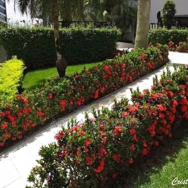 Joefel Construction and Landscaping With Gardening Work · Photo 3