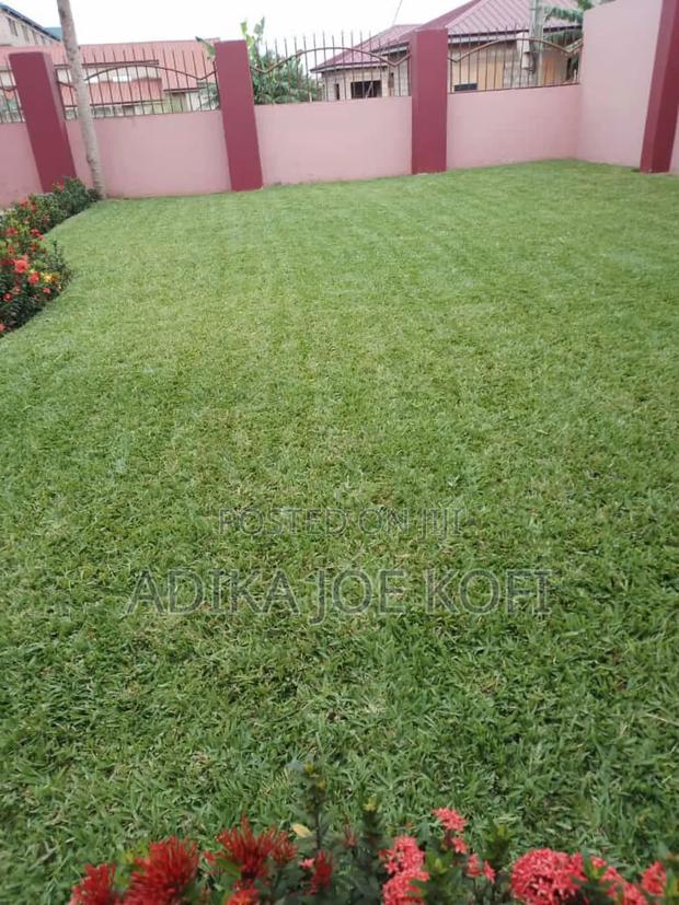 Joefel Tilling and Landscaping With Gardening · Photo 1