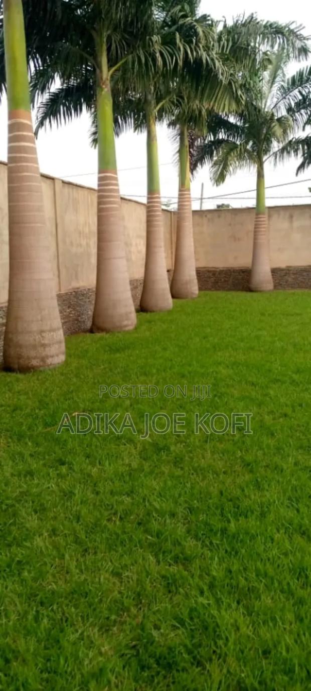 Joefel Tilling and Landscaping With Gardening · Photo 4