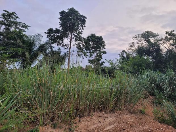 Two Plots of Land for Sale at Santa'si Darko · Photo 3