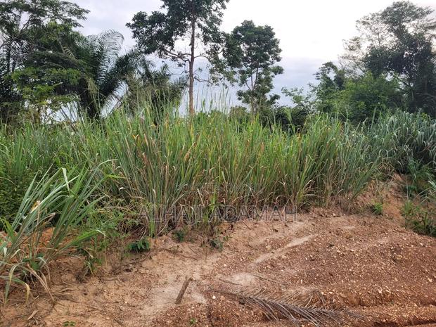 Two Plots of Land for Sale at Santa'si Darko · Photo 4