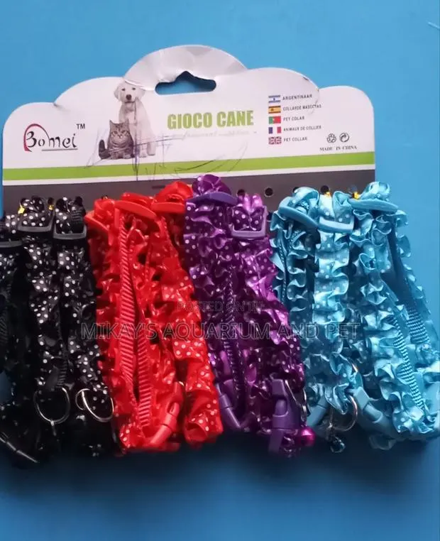 Collars for Female Dogs · Photo 1