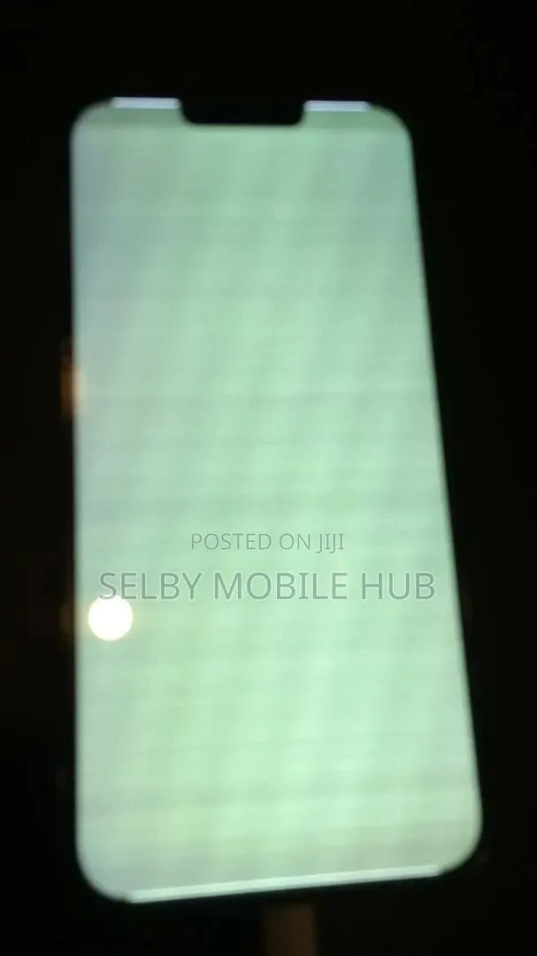 iPhone 13 Pro Max White or Green Screen Repair · Photo 1