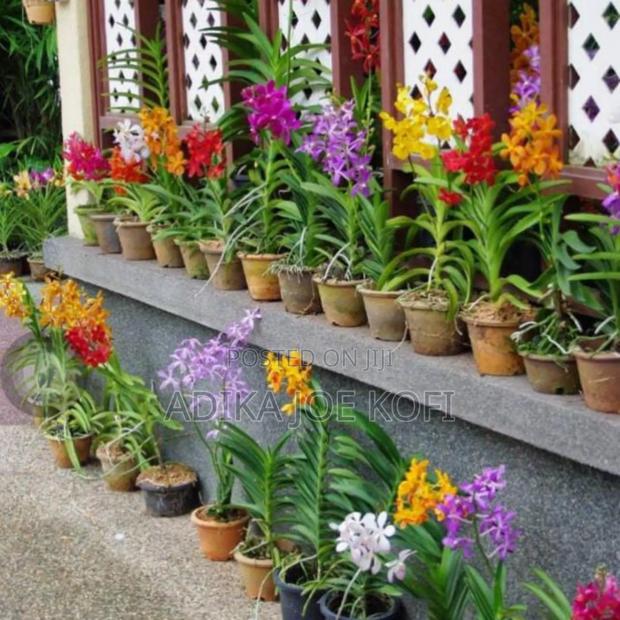 Landscaping by Joefel Construction Decor · Photo 2