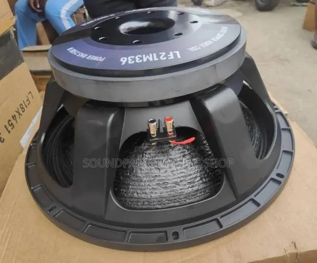 JAC Professional 21inches Single Magnet LF21M336 Naked Speakers(1pair) · Photo 1