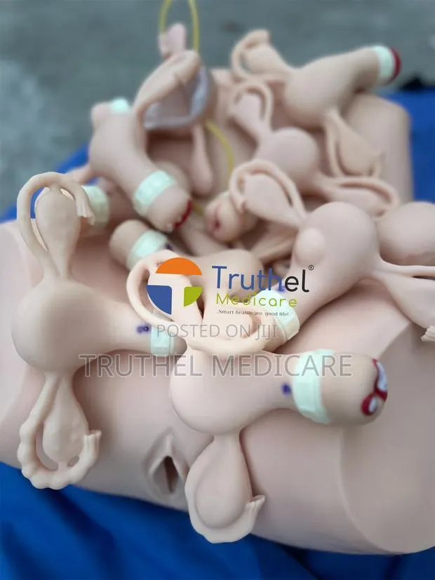 Gynecological Examination Model(Adv. Uterine Ring Training) · Photo 1