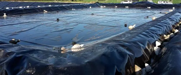 Hdpe Geomembrane 0.75mm (580m2) · Photo 1