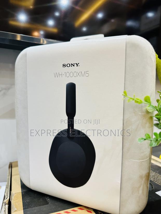 Very Cool SONY WH-1000XM5 Headset · Photo 1