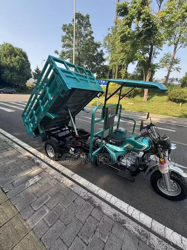 New Tricycle 2026 Green · Photo 1