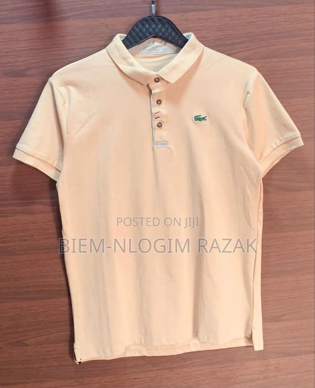Original Crocodile, Zara,Amiri, and Nike Lacoste Available · Photo 1